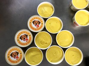 Pupsicle dog ice cream